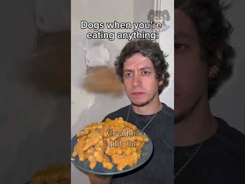 CUANDO TU PERRO QUIERE NUGGETS #doblaje #humor thumbnail