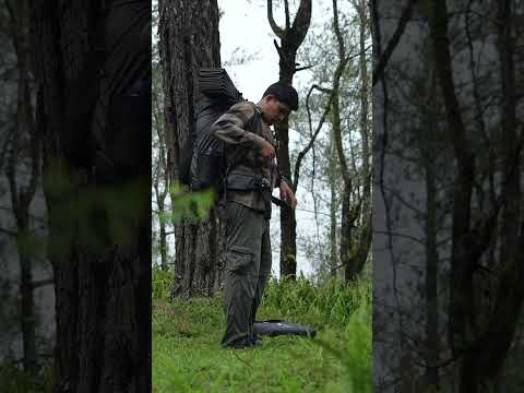 SILENT FOREST, SOLO CAMPING MOMENT #solocamping #campinglife #camping #shorts #rainforest thumbnail
