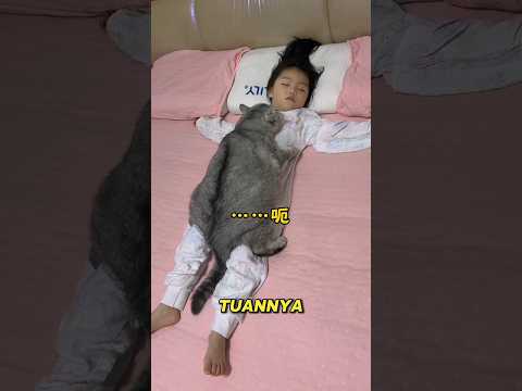 saat tuannya sakit, kucing ini lakukan ini? #shortviral #shorts thumbnail