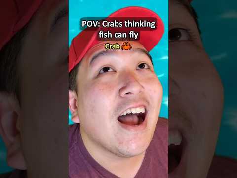 POV: Crabs Thinking Fish Can Fly thumbnail