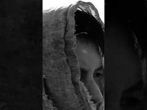 CORTIS (코르티스) 'ACAI' Mood Sampler thumbnail