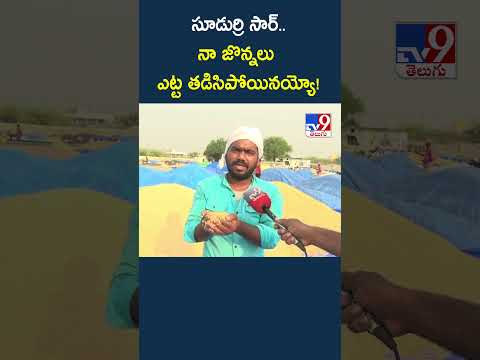 Farmer | సూడుర్రి సార్‌.. నా జొన్నలు ఎట్ట తడిసిపోయినయ్యో! - TV9 thumbnail