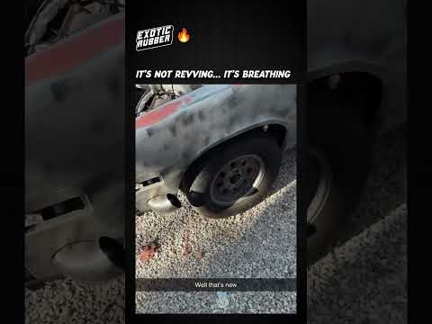 I think this car is alive thumbnail