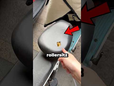 Jemand hat meinen Rollersitz kaputt gemacht?! ? thumbnail