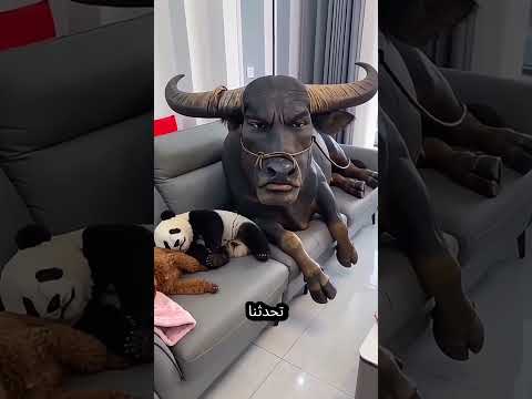 هذه الحيوانات ذكية جداً! 🐾🧠 thumbnail