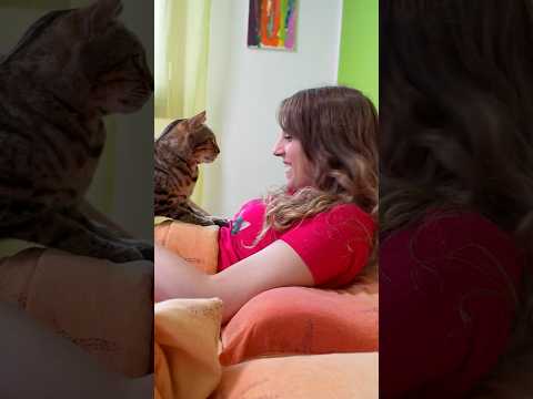 POV: Quando la tua ragazza ti dice delle parole dolci MA…🤭🤣 #cat #comedy #comico #gatto thumbnail