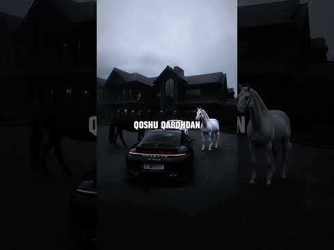 Omad ham ortimdan yurgan vaqtida, Qarosi ko'rinmas kerak paytida thumbnail