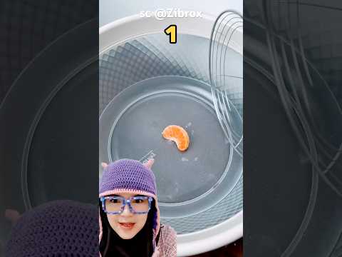 serok jeruk‼️Zibrox thumbnail