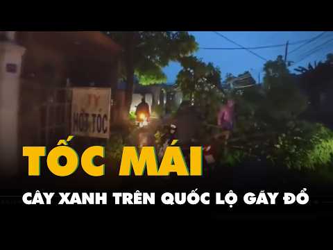 Nhiều nhà dân và quầy hàng tại chợ tốc mái, cây xanh trên quốc lộ gãy đổ trong mưa dông thumbnail