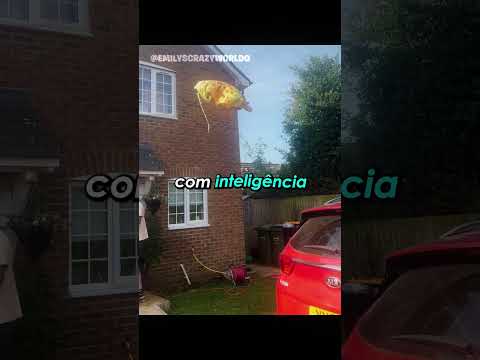 A GAROTA QUASE PERDE O BALÃO thumbnail