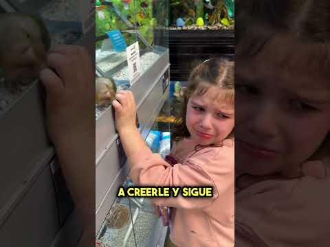 Juró que era su pájaro perdido… y tenía razón 😱 #shorts thumbnail