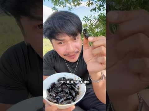 หากินยากจริงเพื่อนใครชอบ? #จัดไป #เมนูหากินยาก #คนไทยเป็นคนตลก #ฝากติดตาม #ช่องยูทูป #พี่นนท์ thumbnail