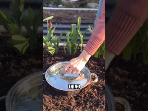 The Underground Nutrient Engine! thumbnail