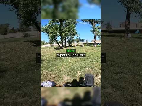 Biker Gets Attacked by Bees! ? thumbnail