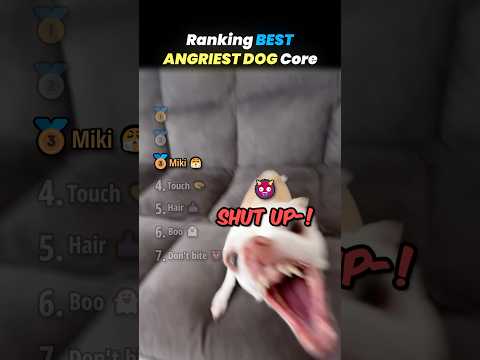 Ranking ANGRIEST DOG Core Moments!! 🐶😰 thumbnail