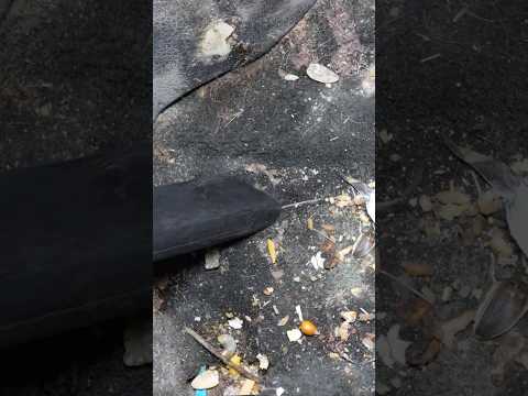 My Vacuuming POV! thumbnail