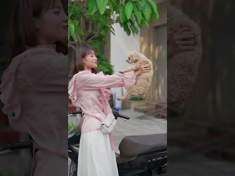 Chủ chó | Oppa Huy thumbnail