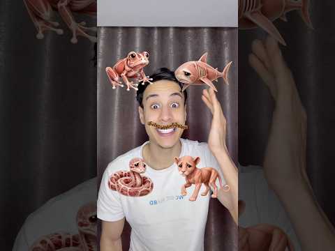 حيوانات بدون ملابس ؟ ٢ ? thumbnail