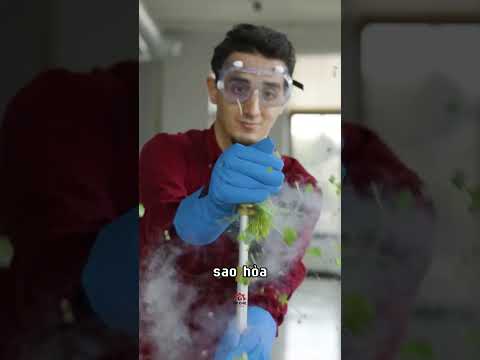 VẬT LIỆU NHẸ NHẤT HÀNH TINH 😬 | Đế Chế Công Nghệ thumbnail