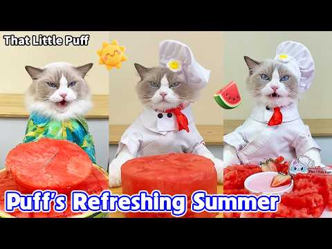 Puff Makes the Cutest Summer Treats 🍦🍉🐱| That Little Puff thumbnail