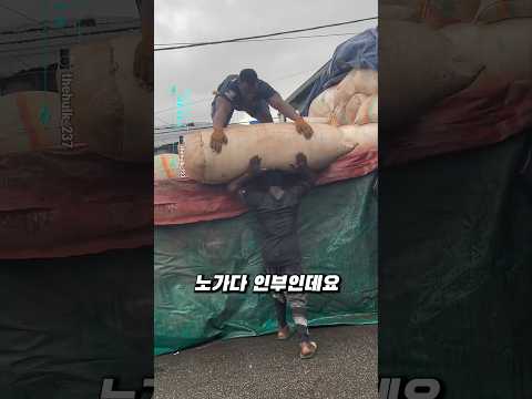 윗 사람도 괴물이네…? thumbnail