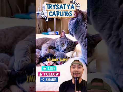 Ini Anak siapa Mama!!?? #comedy #shortfeed #funny thumbnail