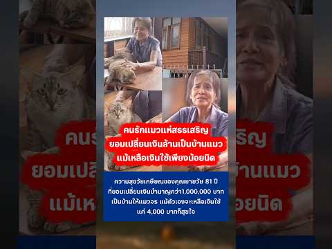คุณป้ามีจิตใจเมตตามาก #คนรักแมว #แมว #แมวน่ารัก thumbnail