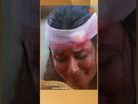 #Annam #SunTV #shorts #tamilserial thumbnail
