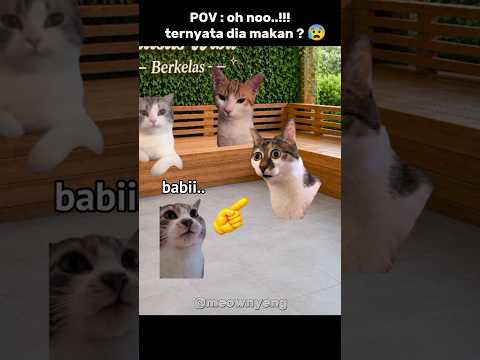 ternyata dia habis makan ? 😰 #cat #memes #memekucing #hiburan #memengakakkocak thumbnail