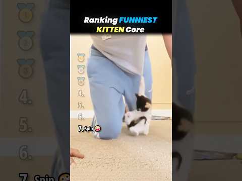 Ranking FUNNIEST KITTEN Core Moments!! 🐱🍼 thumbnail