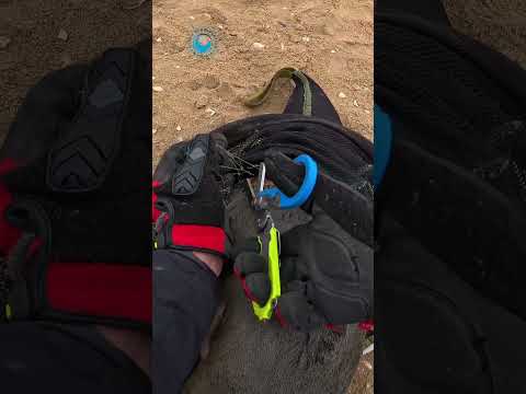 Gill Net Wounds Another Seal #shorts thumbnail
