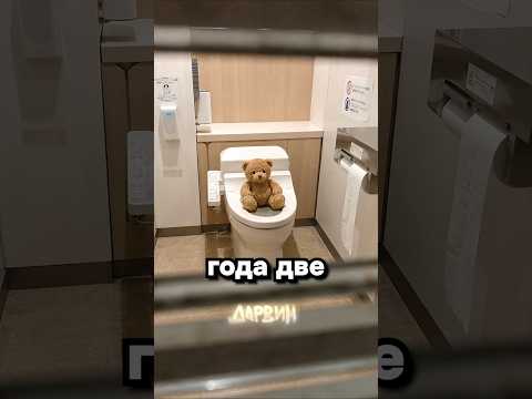 Ох уж эти Японцы thumbnail
