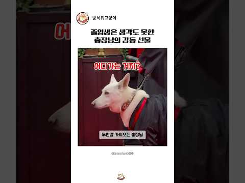 졸업식날 생각지도 못한 서프라이즈 선물을 받은 강아지? thumbnail