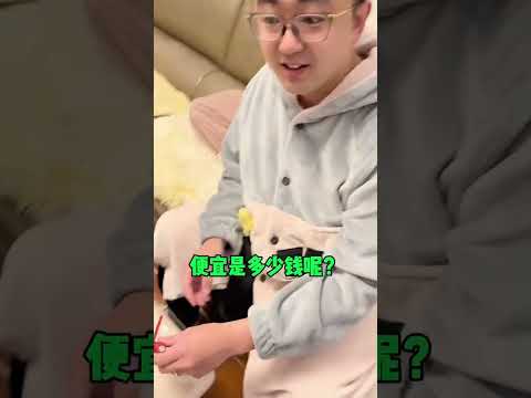 男人太不会买东西#情侣日常 #男人的快乐 #模型 thumbnail