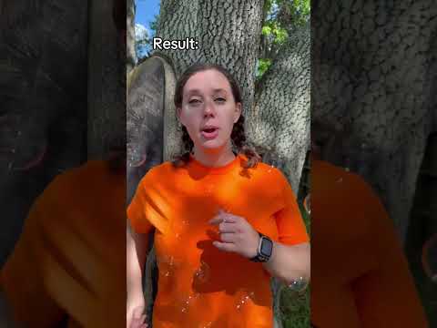 Behind the Scenes of the BUBBLE TREND ? thumbnail