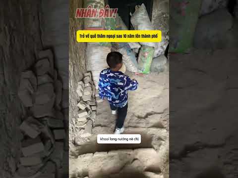 Về quê thăm căn hầm kì lạ của bà  sau 10 năm lên thành phố thumbnail