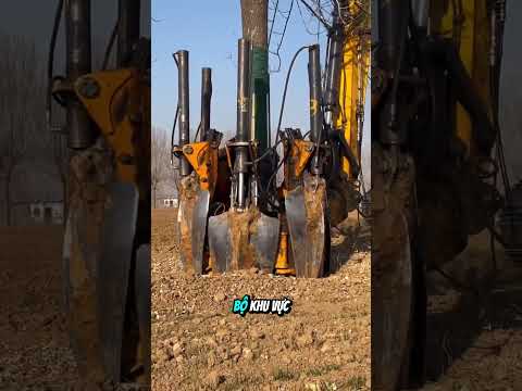 Công Nghệ Di Dời Cây Xanh Ở Nhật #shorts thumbnail