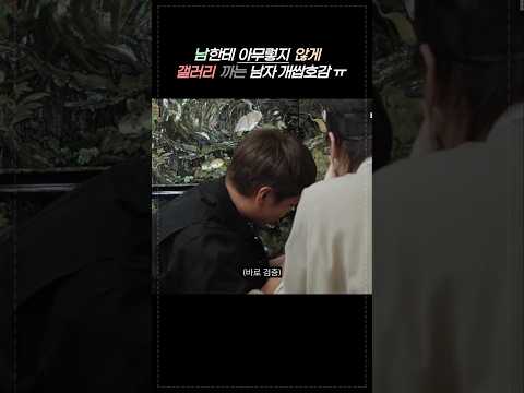 아니 세 봐 세 봐 !!!  #박지훈 #이영지 #차쥐뿔 thumbnail