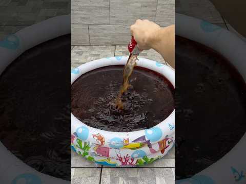 Cuántas latas de Coca-Cola se necesitan para llenar una alberca?😱 thumbnail