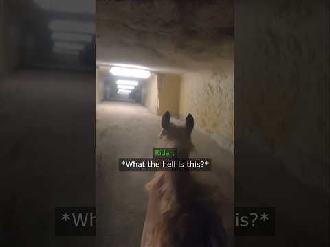 Horse Rider Found Backrooms In The Abandoned Cave thumbnail