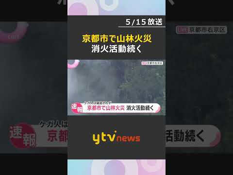 京都市右京区で山林火災、消火活動続く　世界遺産「仁和寺」から北西に約3キロ　ケガ人は確認されず　#shorts #読売テレビニュース thumbnail