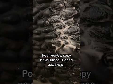 МЕНЕДЖЕРУ ПРИСНИЛОСЬ | TikTok: mrwst thumbnail