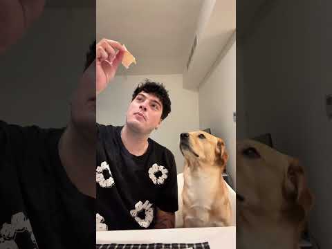 😂😂 thumbnail