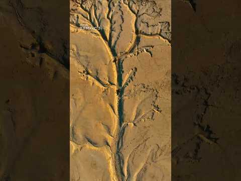 Wait for It — The World Widens by a Mile | DJI Mavic 3 Pro thumbnail