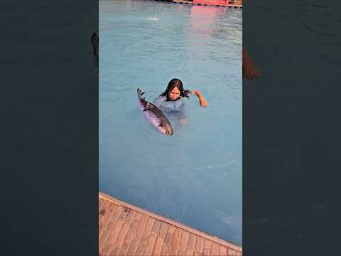 ikan kk masih hidup #trandingshorts thumbnail