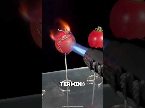 El Tomate Quedó Completamente Quemado 😨 thumbnail