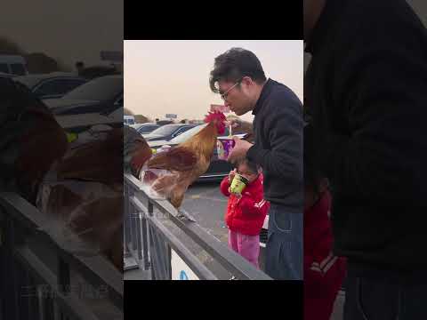 假期返程路上的显眼包，真是八仙过海，各显神通！ thumbnail