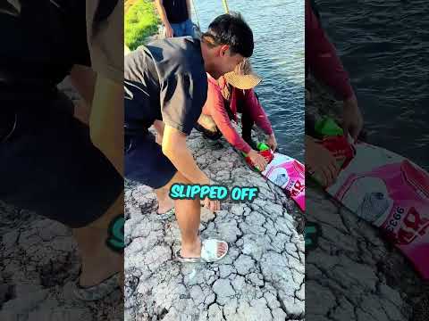 The Luckiest Fish in the World ? thumbnail