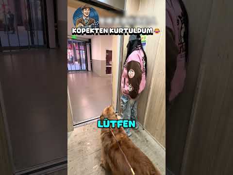 Köpekten Kurtuldum..❗️? thumbnail