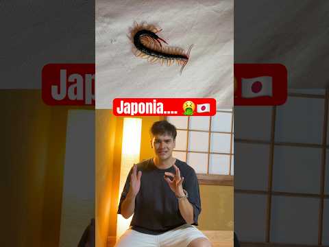 JAPONIA JEST OBRZYDLIWA 🤮🇯🇵🤯 thumbnail